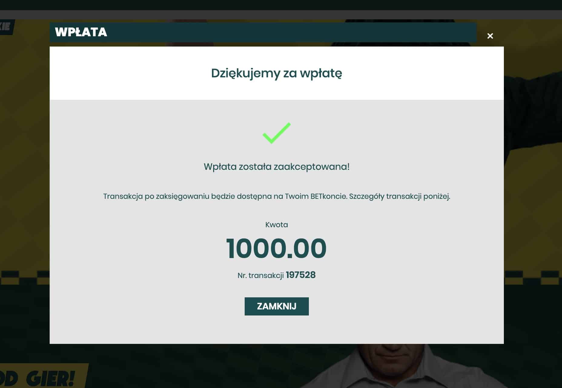 Jak szybko wpłacić pieniądze na Betfan.pl?